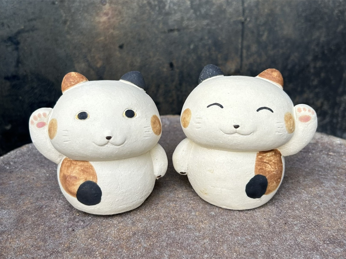 (有)サバイディー